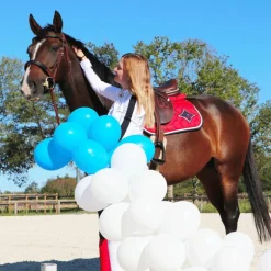 Riding World - Amortisseur rouge