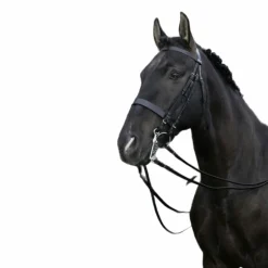 Riding World - Bride de dressage noire avec rênes