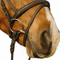 Riding World - Bridon muserolle combinée double havane avec rênes
