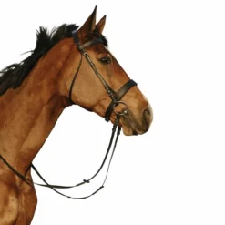 Riding World - Bridon muserolle large noir avec rênes