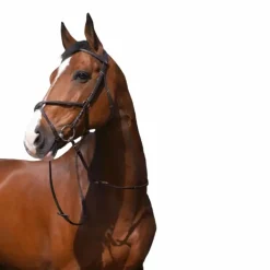 Riding World - Bridon Muserolle croisée avec rênes