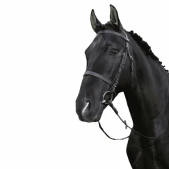 Riding World - Bridon muserolle française noir avec rênes