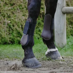 Riding World - Guêtres protège-tendons marron x2