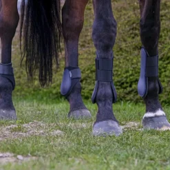 Riding World - Guêtres protège-tendons marine x2