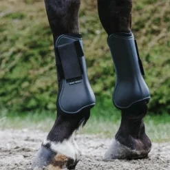 Riding World - Guêtres protège-tendons noir x2