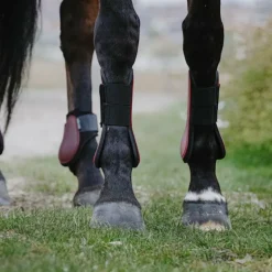 Riding World - Guêtres protège-tendons bordeaux x2
