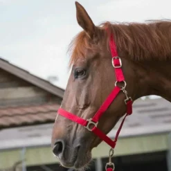 Riding World - Licol et longe Club Rouge