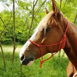 Riding World - Licol éthologique corde fin rouge