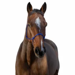 Riding World - Licol éthologique corde fin bleu roi