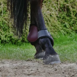 Riding World - Protège-boulets bordeaux