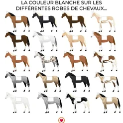 Riding World - Tapis de dressage Girly blanc