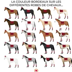 Tacante - Tapis de dressage Excel-Anse bordeaux