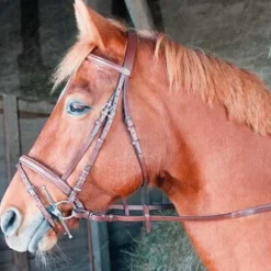 TdeT -  Bridon avec rênes Sisley muserolle combinée tabac