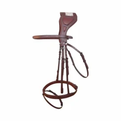 TdeT - Bridon Chagall havane foncé