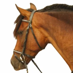 TdeT - Bridon et rênes Clincher Goya noir