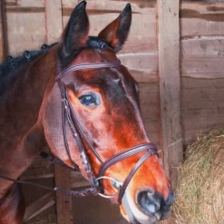 TdeT - Bridon et rênes Kessel muserolle combinée havane foncé
