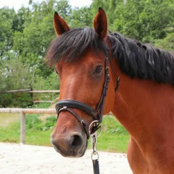 TdeT - Bridon et rênes Lautrec havane foncé/noir