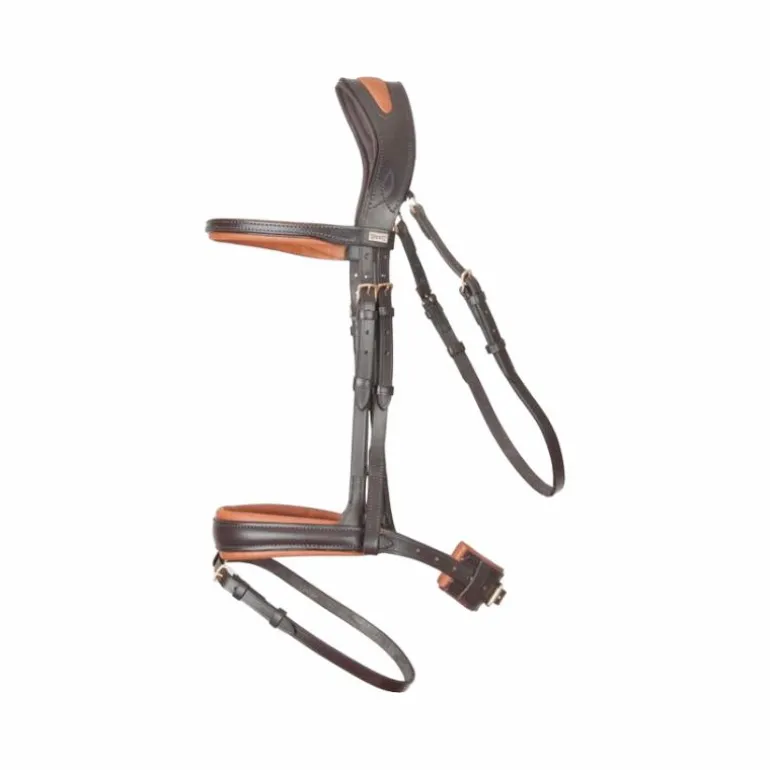 TdeT - Bridon et rênes têtière anatomique Matisse marron/tabac