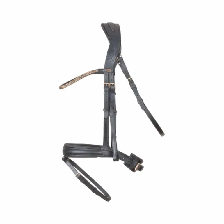 TdeT - Bridon et rênes têtière anatomique Hopper noir/dore