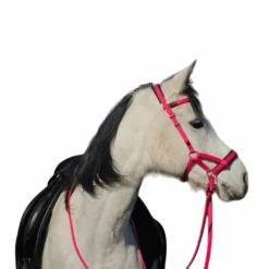 TdeT - Bridon Sidepull Biotack® fuchsia