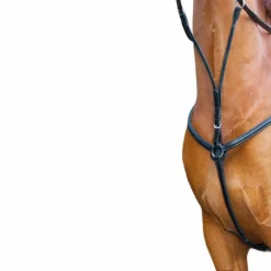 TdeT - Collier de chasse doublé noir