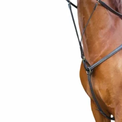 TdeT - Collier de chasse doublé havane foncé