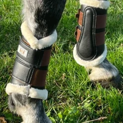 TdeT - Guêtres fermées antérieurs mouton noir/ tabac x2