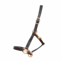 TdeT - Licol foal en cuir noir