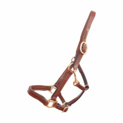 TdeT - Licol foal en cuir tabac