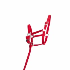 TdeT - Licol foal synthétique rouge