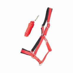 TdeT - Licol Satiné Doublé longe ronde assortie rouge