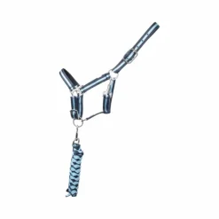 TdeT - Licol synthétique doublé + longe tressée marine/bleu ciel