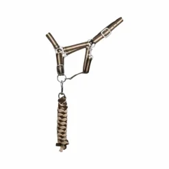 TdeT - Licol synthétique doublé + longe tressée marron foncé/ beige