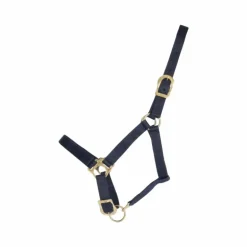 TdeT - Licol synthétique marine