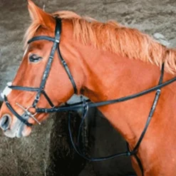 TdeT - Martingale noire