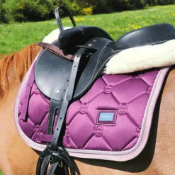 TdeT -  Selle bardette noir