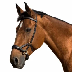 TdeT - Sidepull en cuir No More havane foncé