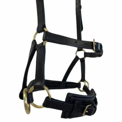 TdeT - Sidepull en cuir No More havane foncé