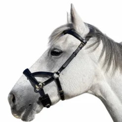 TdeT - Sidepull en cuir No More noir