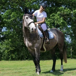 Veredus - Guêtres ouvertes Olympus Vento noir x2