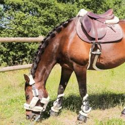 Veredus - Guêtres ouvertes Carbon Gel Vento Save The Sheep Noir x2