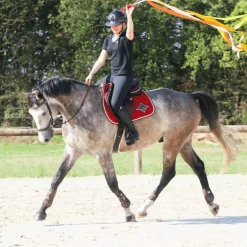 Veredus - Protège-boulets Olympus Vento marron