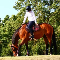 Veredus - Tapis de Selle Color Edition Noir/ Bordeaux