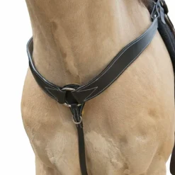 Westride - Collier de chasse Western Westride surpiqué noir