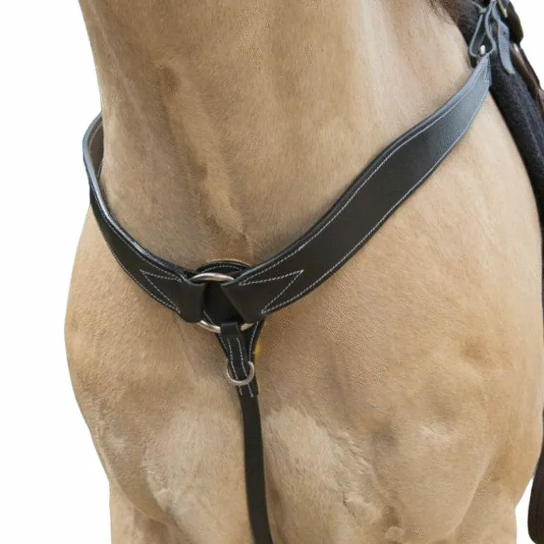 Westride - Collier de chasse Western Westride surpiqué noir
